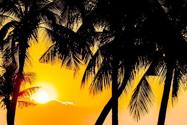 Hermosa silueta de palmera de coco en el cielo de la playa del océano cerca del mar al atardecer o al amanecer