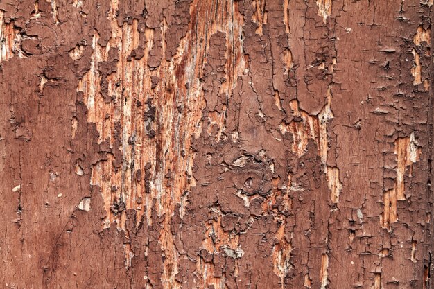 Hermosa textura de madera agrietada con el viejo color rojo agrietado. Horizontal con espacio de copia.