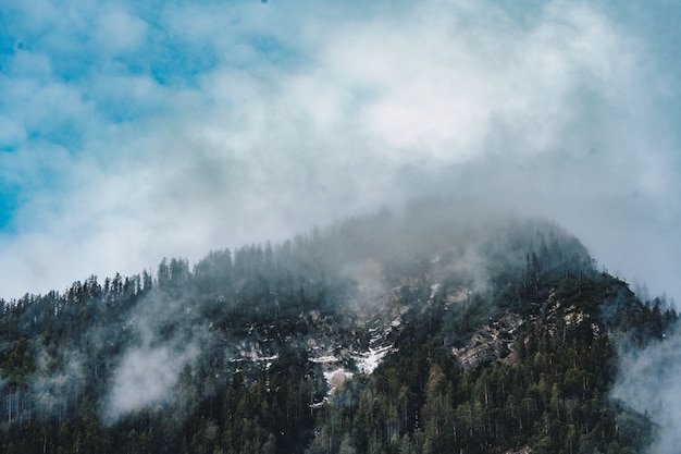 Hermosa toma aérea de un bosque rodeado de nubes y niebla