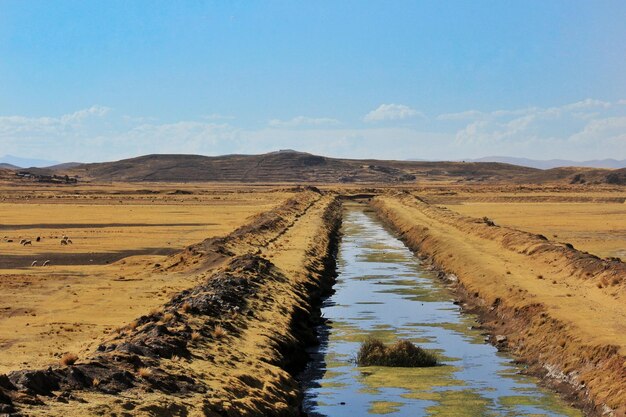 Hermosa toma de un canal de riego en medio de un área desértica con colinas como fondo