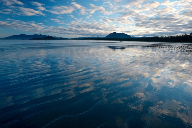 Hermosa toma de la Isla Vargas, cerca de Tofino, Isla de Vancouver, BC, Canadá