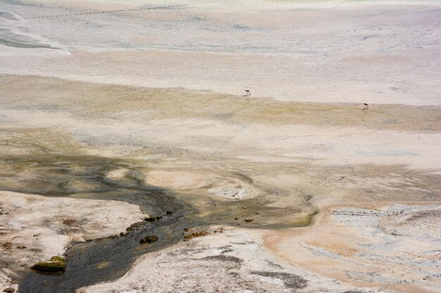 Hermosa toma de laguna en el desierto de Chile