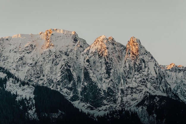 Hermosa toma de picos nevados en la Cordillera de las Cascadas en Washington