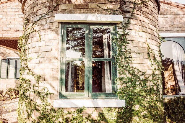 hermosa ventana del jardín al aire libre de la calle