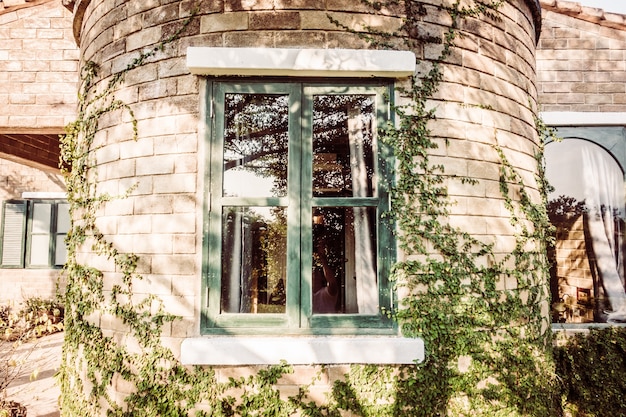 hermosa ventana del jardín al aire libre de la calle