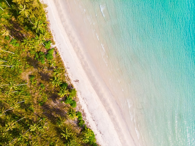 Hermosa vista aérea de playa y mar con palmera de coco