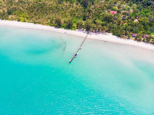 Hermosa vista aérea de playa y mar con palmera de coco