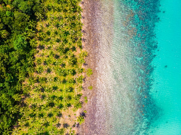 Hermosa vista aérea de playa y mar con palmera de coco