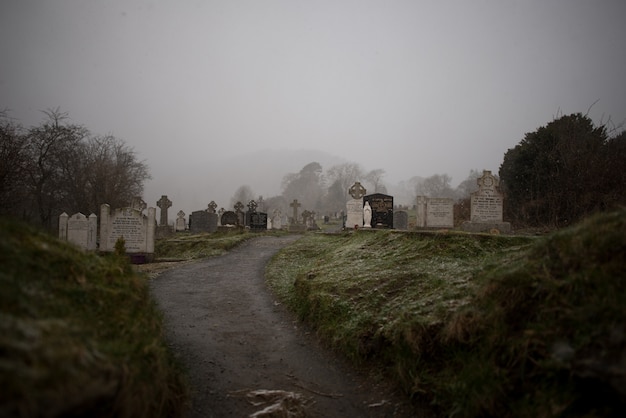 Hermosa vista de un antiguo cementerio rodeado de árboles capturados en la niebla