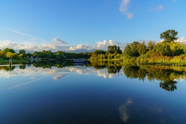 Hermosa vista de los árboles y el cielo reflejándose en el agua en un día soleado