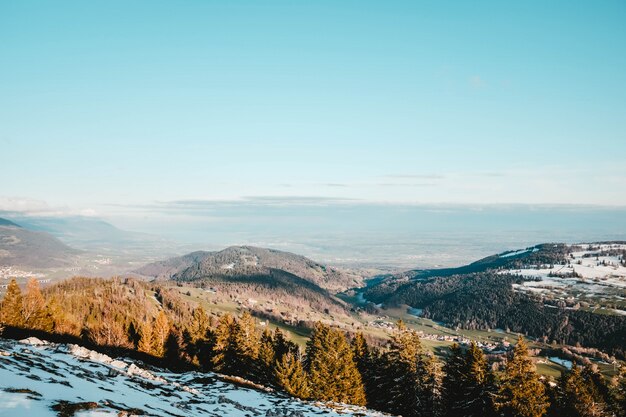 Hermosa vista de los árboles en una colina cubierta de nieve con los campos