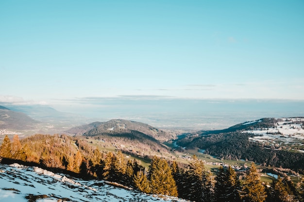 Hermosa vista de los árboles en una colina cubierta de nieve con los campos