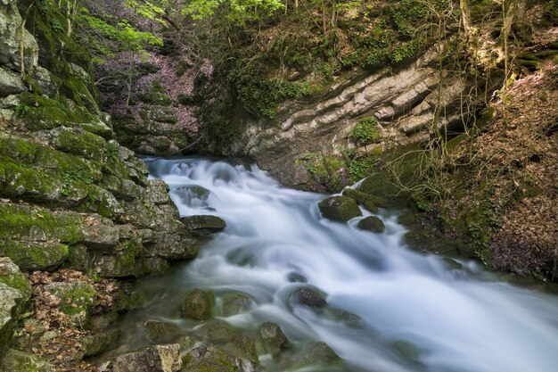 Hermosa vista de un arroyo que fluye a través de las rocas cubiertas de musgo, perfecto para papel tapiz