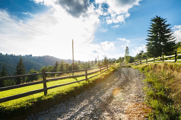 Hermosa vista del camino rural.