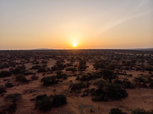 Hermosa vista del campo cubierto de árboles bajo la puesta de sol capturado en Samburu, Kenia