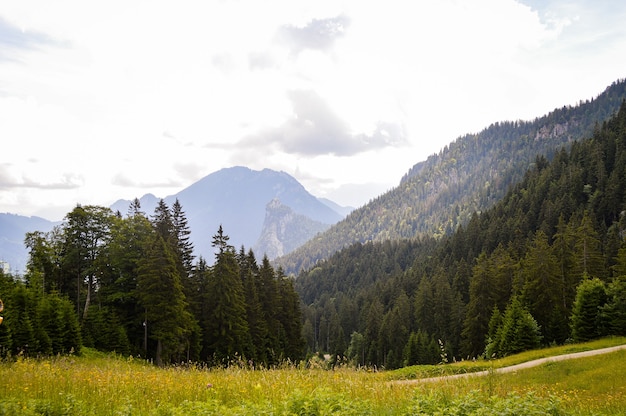 Hermosa vista de un campo con flores y altas montañas en Alemania