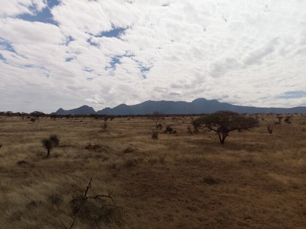 Hermosa vista de un campo bajo las magníficas nubes en Tsavo West, Taita Hills, Kenia