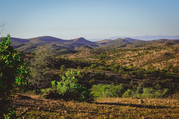 Hermosa vista de un campo con pequeñas montañas y árboles cortos