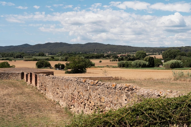 Foto gratuita hermosa vista con campo