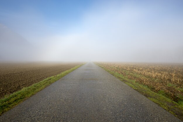 Hermosa vista de una carretera de hormigón con un campo a los lados cubierto de niebla espesa