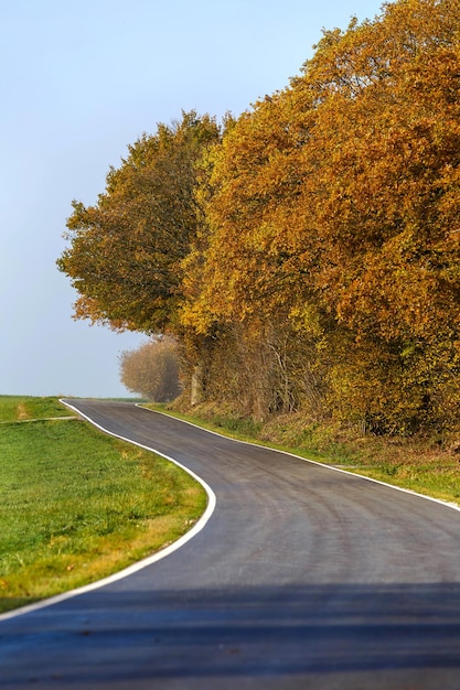 Hermosa vista de una carretera rodeada de árboles.