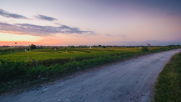 Hermosa vista de una carretera rodeada de campos cubiertos de hierba capturada en Canggu, Bali