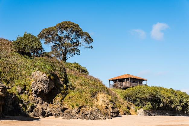 Hermosa vista de una casa antigua cerca de la playa rodeada de árboles y césped bajo un cielo azul