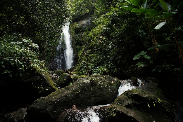 Foto gratuita hermosa vista de una cascada