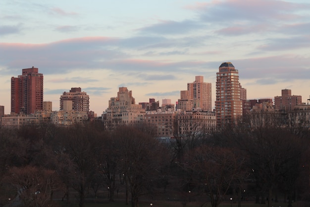 Hermosa vista de la ciudad de Nueva York tomada desde Central Park