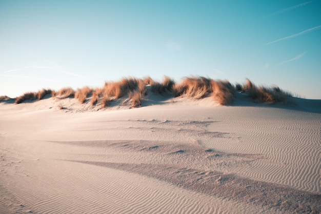 Hermosa vista del desierto bajo el cielo azul claro capturado en Oostkapelle, Países Bajos