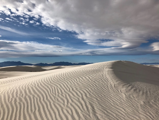 Hermosa vista del desierto cubierto de arena barrida por el viento en Nuevo México