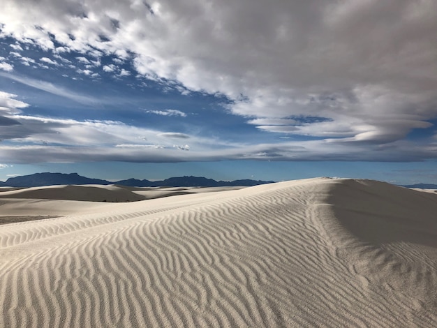 Hermosa vista del desierto cubierto de arena barrida por el viento en Nuevo México