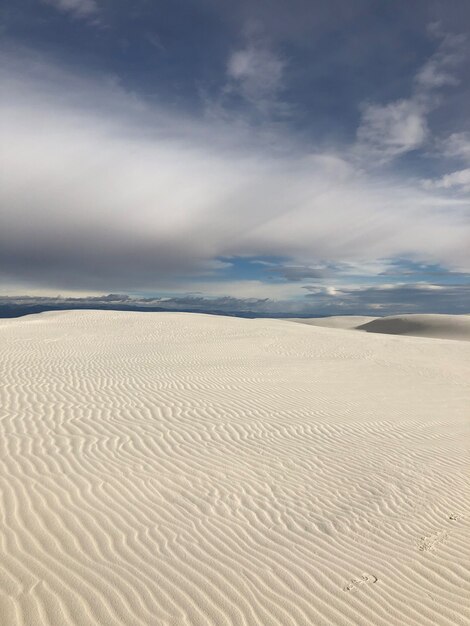 Hermosa vista del desierto cubierto de arena barrida por el viento en Nuevo México