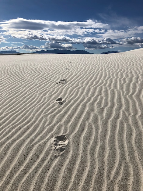 Hermosa vista del desierto cubierto de arena barrida por el viento en nuevo méxico