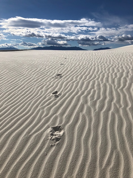 Hermosa vista del desierto cubierto de arena barrida por el viento en Nuevo México