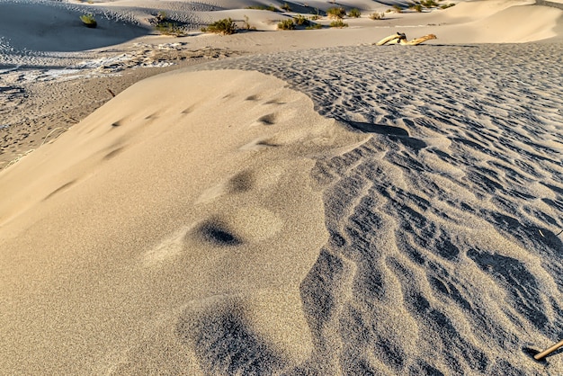 Hermosa vista de las dunas de arena de Mesquite Flat en el Parque Nacional Valle de la Muerte en California, EE.