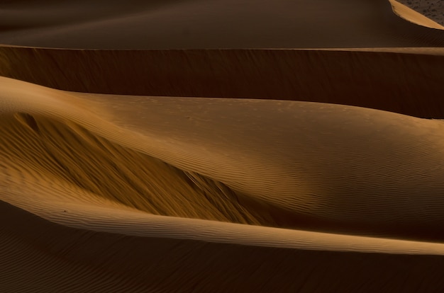 Hermosa vista de las dunas de color marrón dorado en el desierto