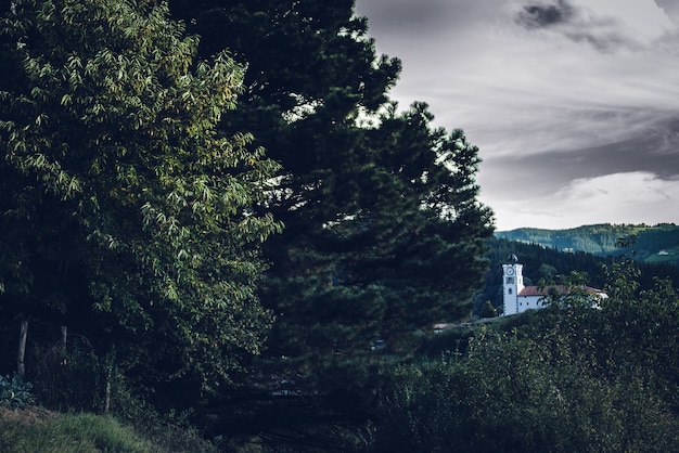 Hermosa vista de un edificio blanco en medio de los árboles en un bosque bajo el cielo nublado