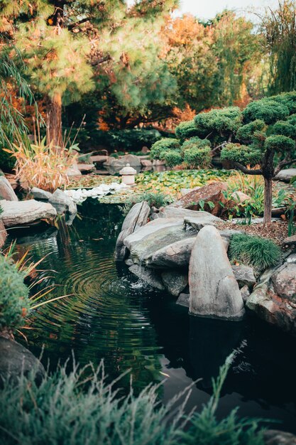 Hermosa vista de la fascinante naturaleza en los tradicionales jardines japoneses de Adelaida Himeji