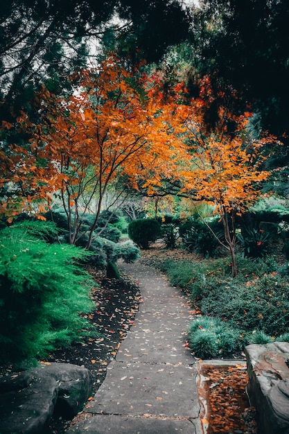 Hermosa vista de la fascinante naturaleza en los tradicionales jardines japoneses de Adelaida Himeji