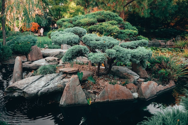 Hermosa vista de la fascinante naturaleza en los tradicionales jardines japoneses de Adelaida Himeji