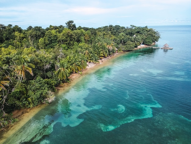 Foto gratuita hermosa vista de una isla con una jungla.