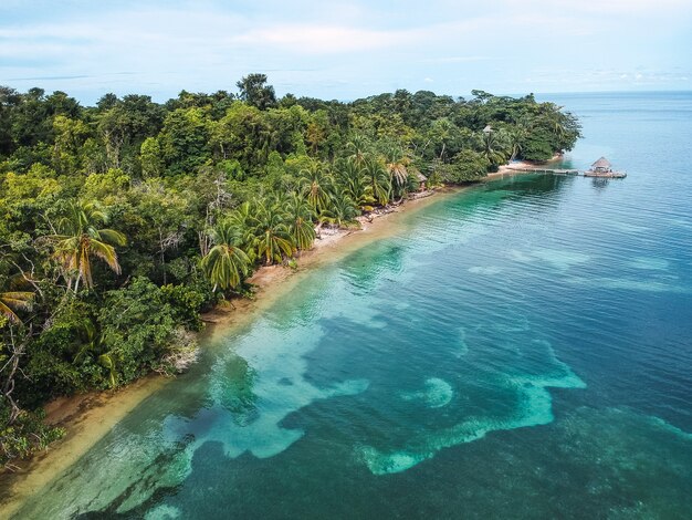 Hermosa vista de una isla con una jungla.