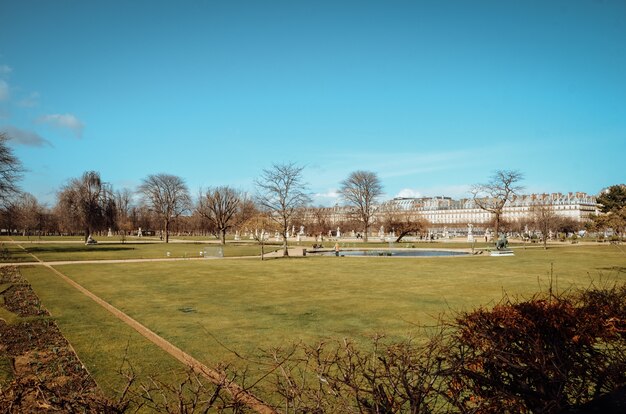 Hermosa vista de un jardín verde bajo el cielo azul claro capturado en París, Francia