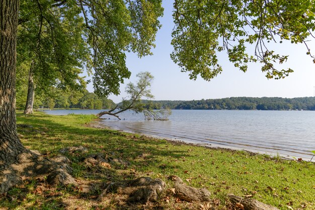 Hermosa vista de un lago en Arkansas, Estados Unidos