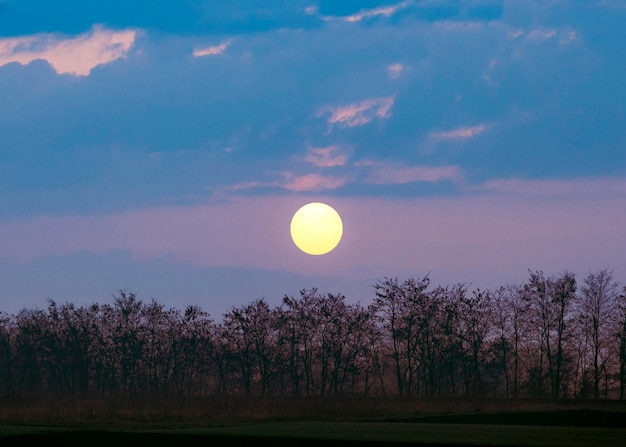 Foto gratuita hermosa vista de la luz del atardecer