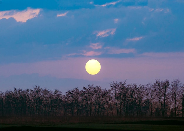 Hermosa vista de la luz del atardecer