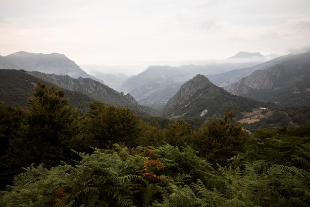 Hermosa vista a la montaña con cielo nublado