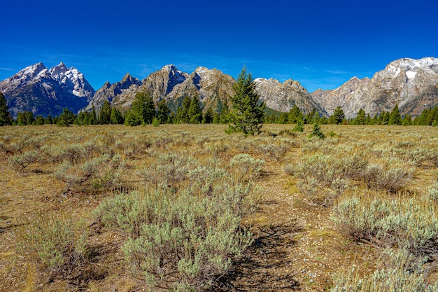 Hermosa vista de la montaña Grand Teton en el Parque Nacional Grand Teton en los EE. UU.