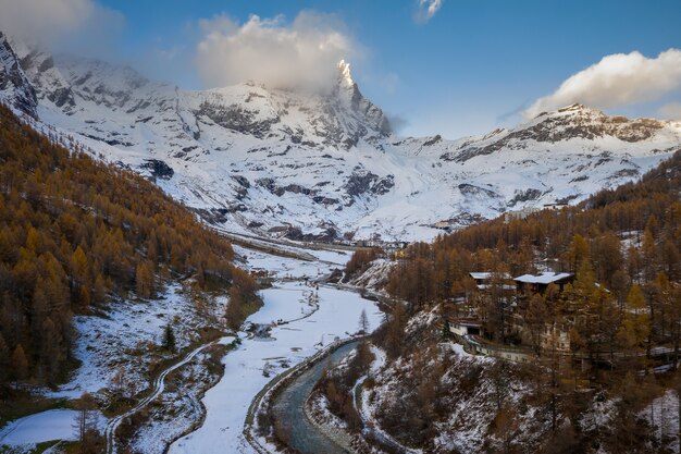 Hermosa vista de las montañas y el bosque cubierto de nieve blanca durante el invierno